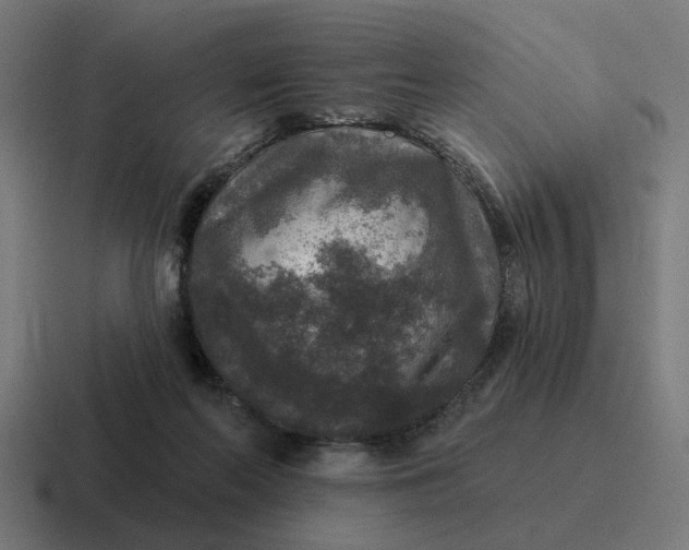 X0000116790214200912311923