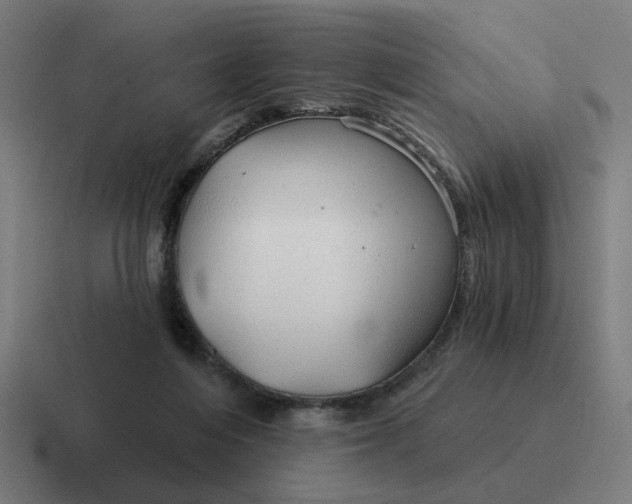 X0000116790216200912311923