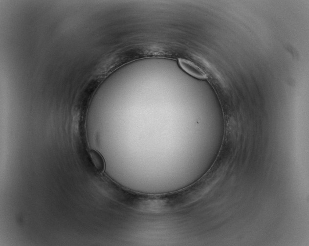 X0000116790217200912311923