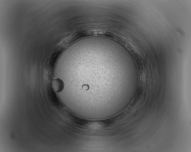 X0000116790218200912311923