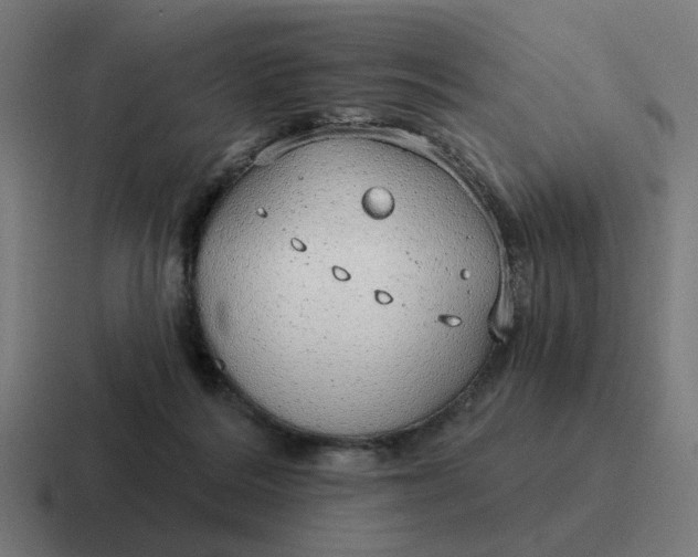 X0000116790220200912311923