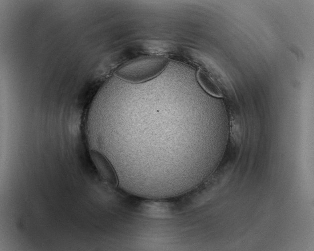 X0000116790221200912311923