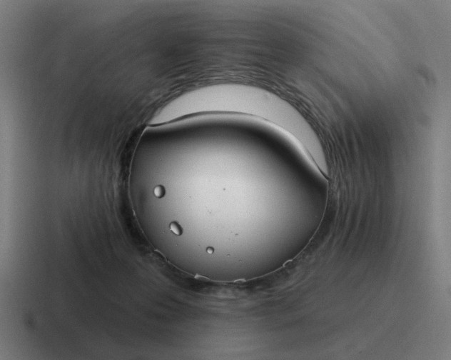 X0000116790223200912311923