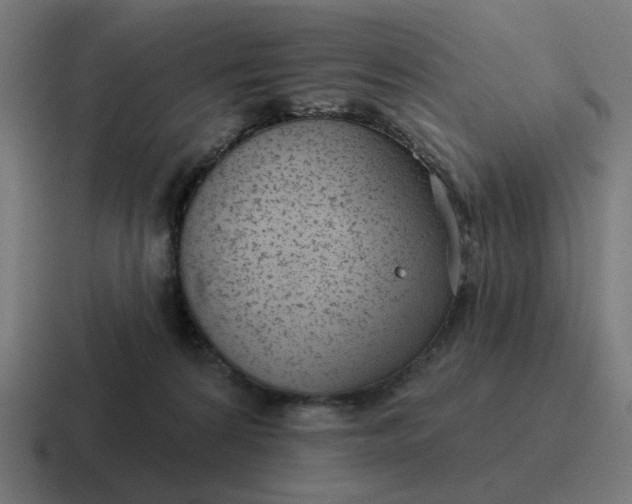 X0000116790224200912311923