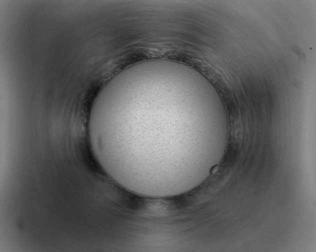 X0000116790226200912311923