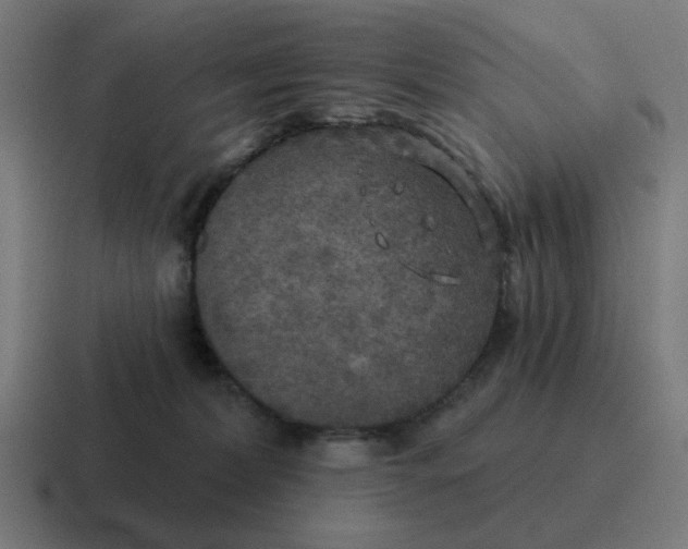 X0000116790228200912311923