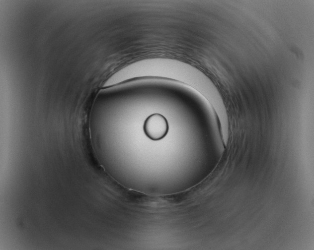 X0000116790229200912311923