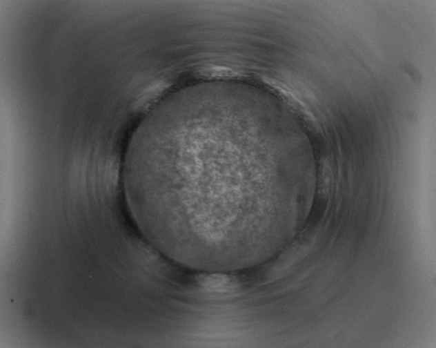 X0000116790230200912311923