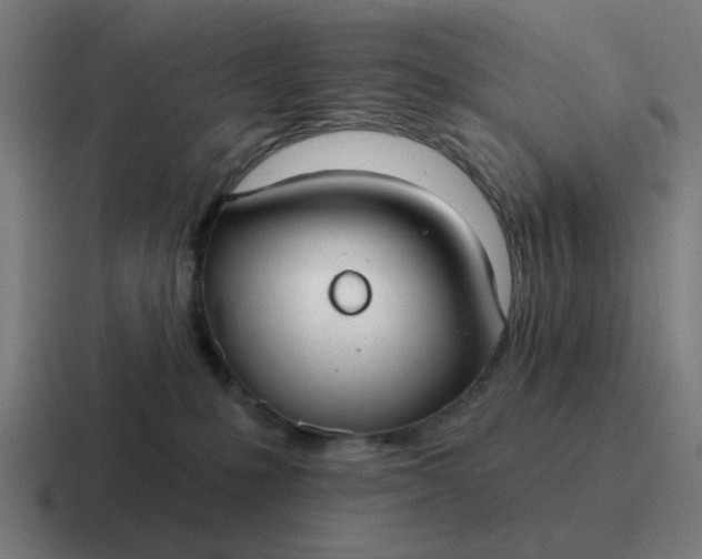 X0000116790231200912311923