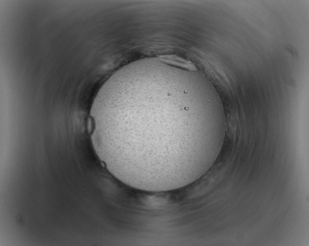 X0000116790232200912311923