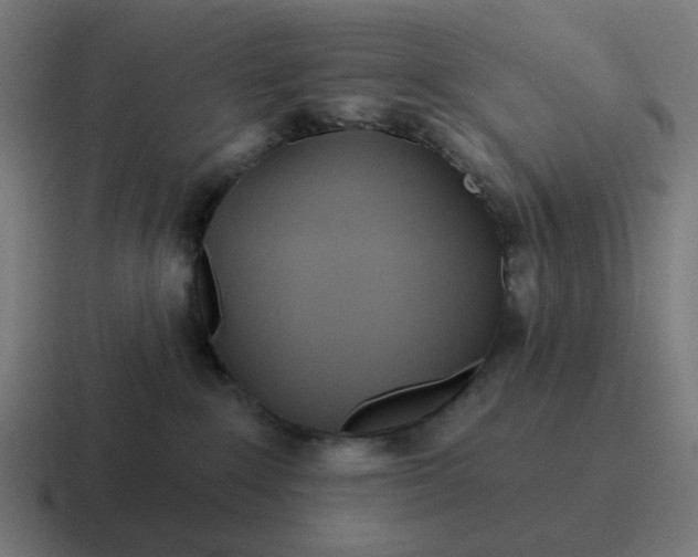 X0000116790235200912311923