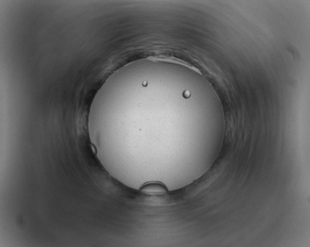 X0000116790236200912311923