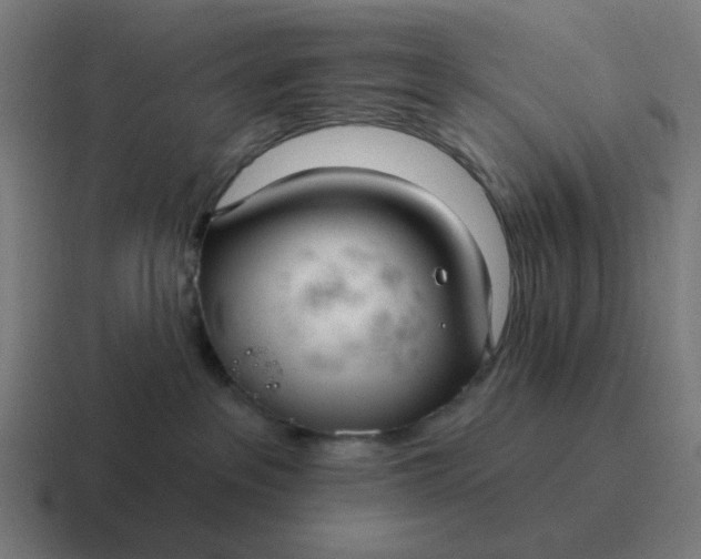 X0000116790237200912311923