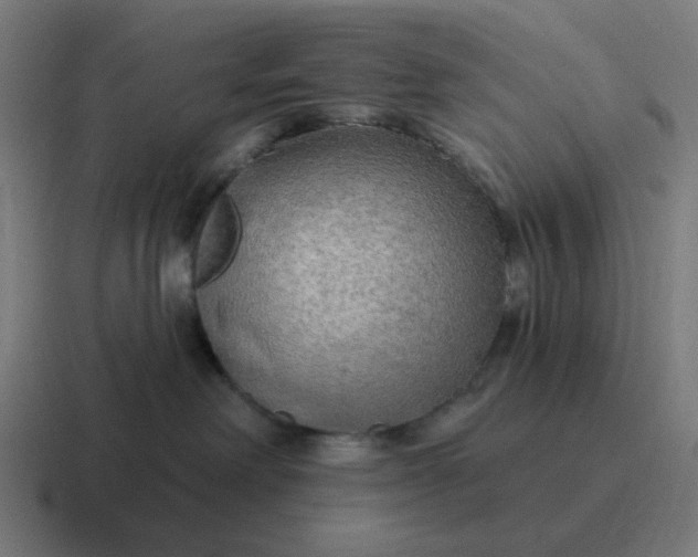 X0000116790238200912311923