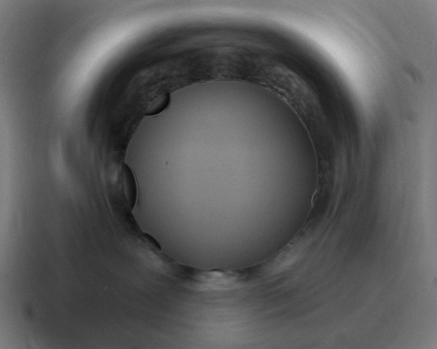 X0000116790239200912311923