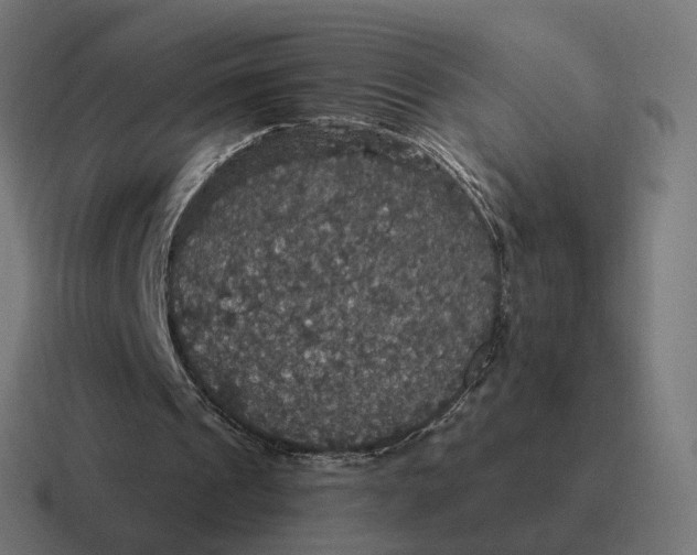 X0000116790241200912311922