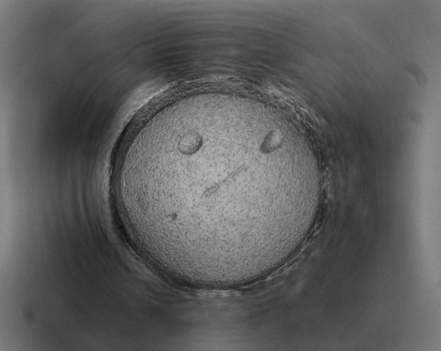 X0000116790242200912311922