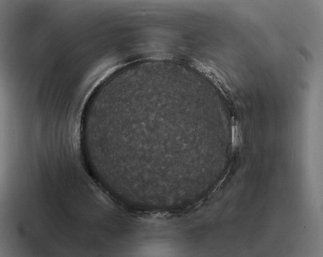 X0000116790243200912311922