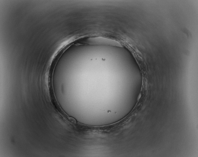 X0000116790244200912311922