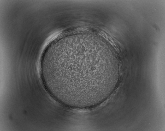 X0000116790245200912311922