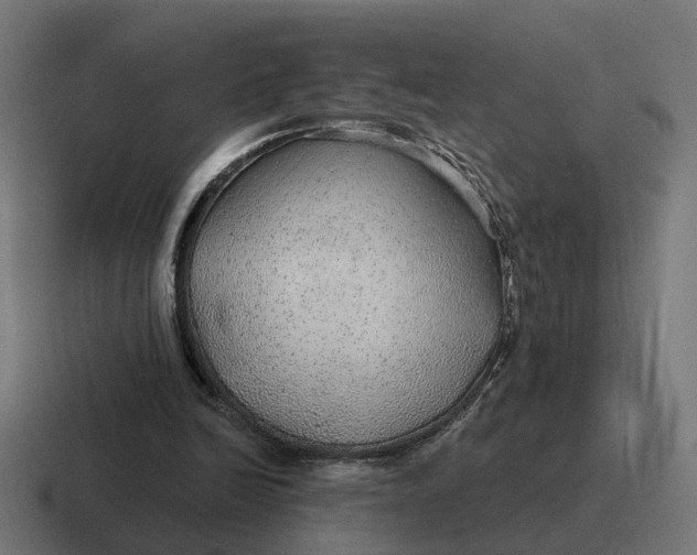 X0000116790246200912311922