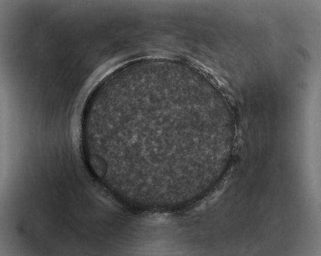 X0000116790247200912311922