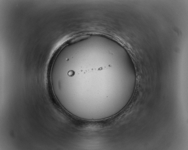 X0000116790248200912311922