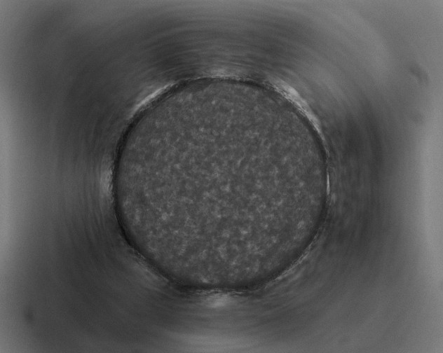 X0000116790249200912311922