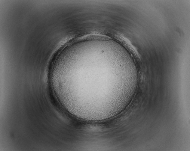 X0000116790250200912311922