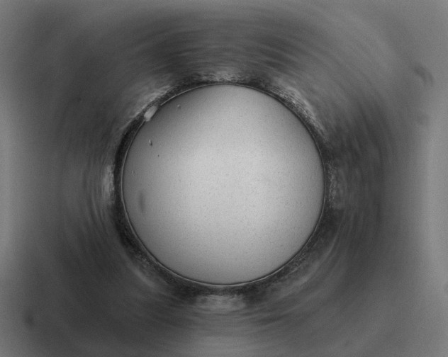 X0000116790251200912311922