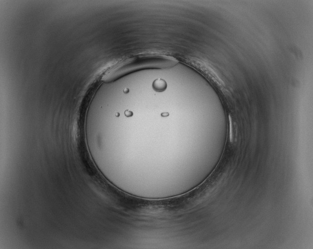 X0000116790252200912311922