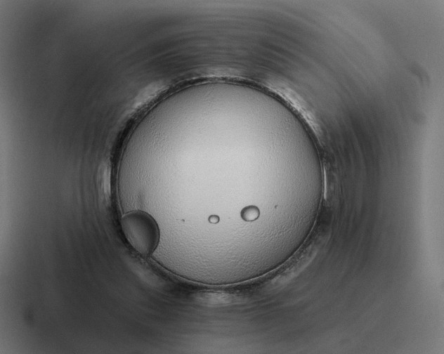 X0000116790253200912311922