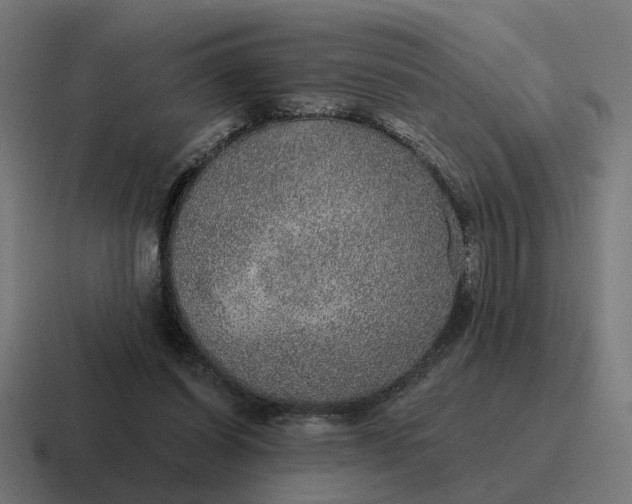 X0000116790254200912311922