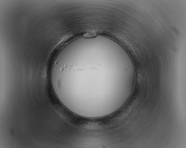 X0000116790256200912311922