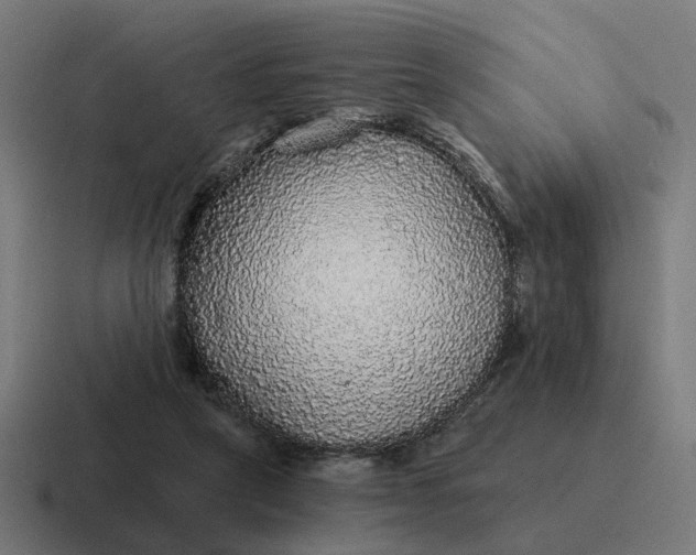 X0000116790257200912311922