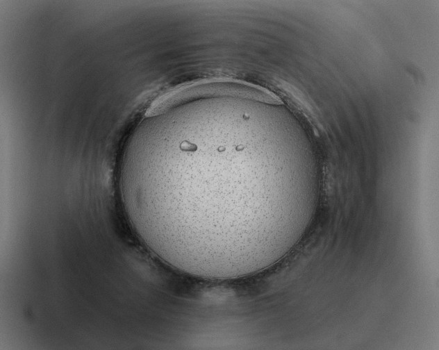 X0000116790258200912311922