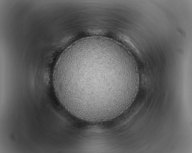 X0000116790259200912311922