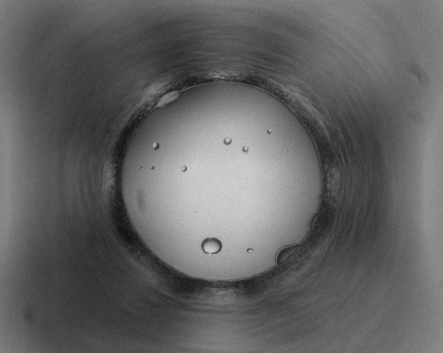 X0000116790260200912311922