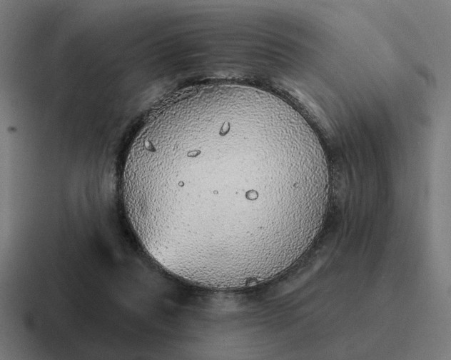 X0000116790261200912311922