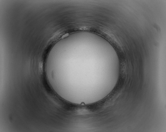 X0000116790262200912311922