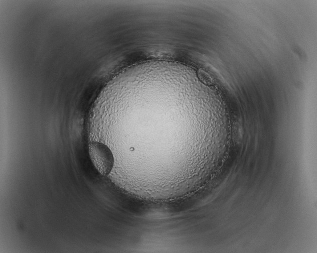 X0000116790263200912311922