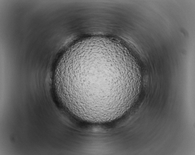 X0000116790264200912311922