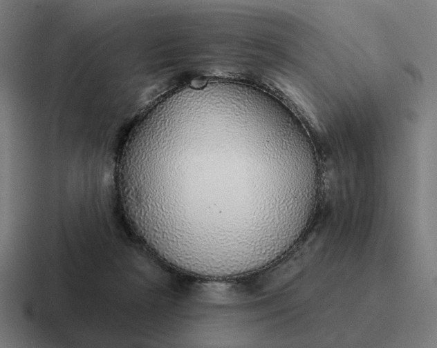 X0000116790265200912311922