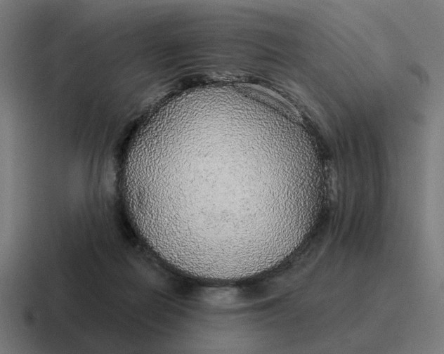 X0000116790266200912311922