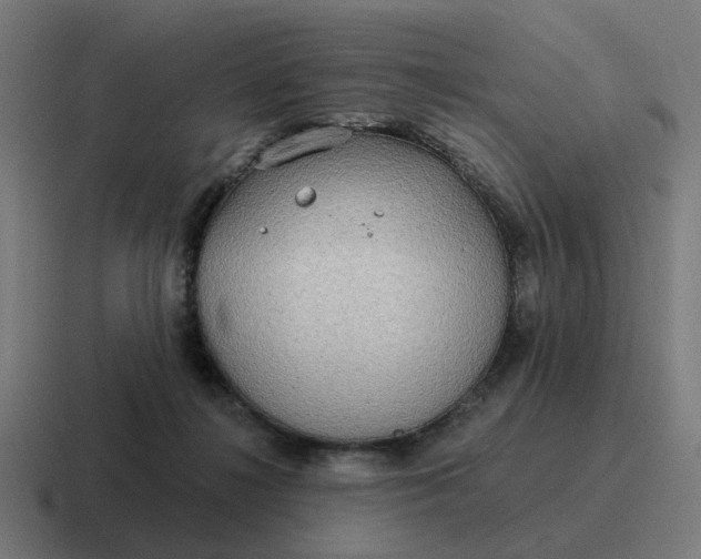 X0000116790268200912311922