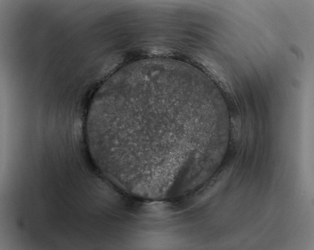 X0000116790269200912311922