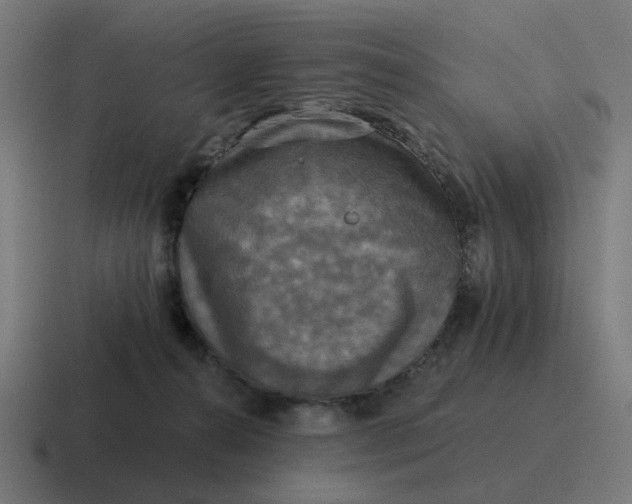 X0000116790272200912311922