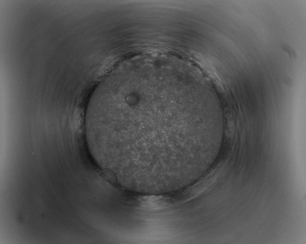 X0000116790273200912311922