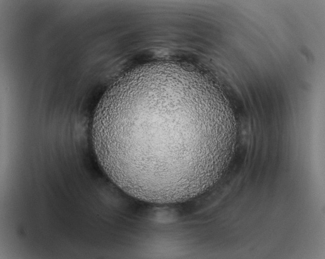 X0000116790275200912311922