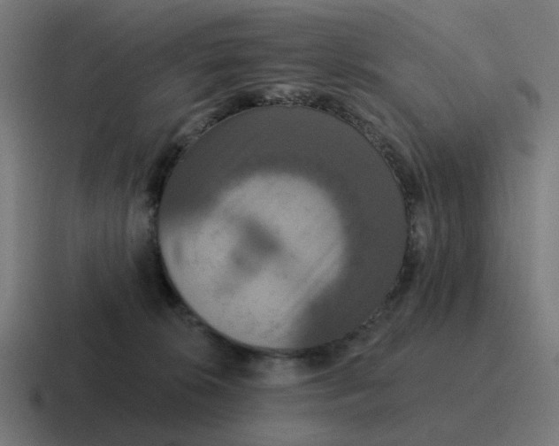 X0000116790276200912311922